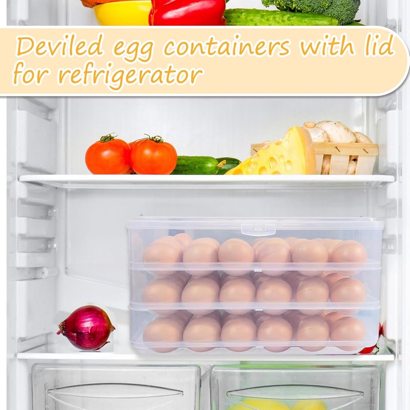 Jgalnim 3 Layer Deviled Egg Trays Containers with Lid,Plastic Refrigerator Egg Carrier with Handle for 72 holes,Clear Storage Platter for Portable Devil Egg,Easter Thanksgiving - Image 5